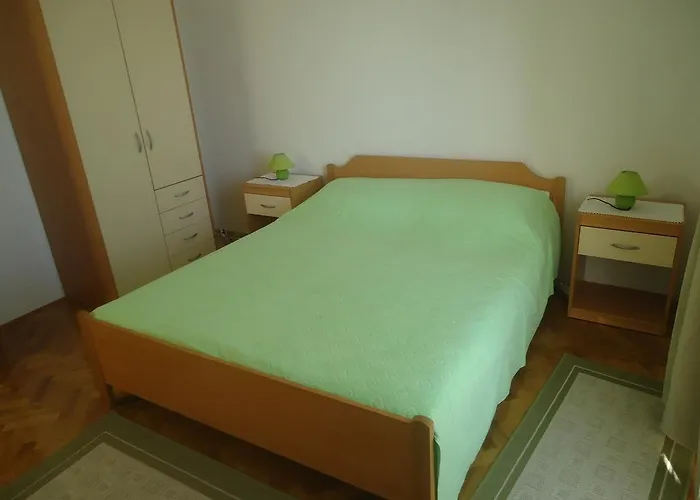 Maslina * Privlaka (Zadar)