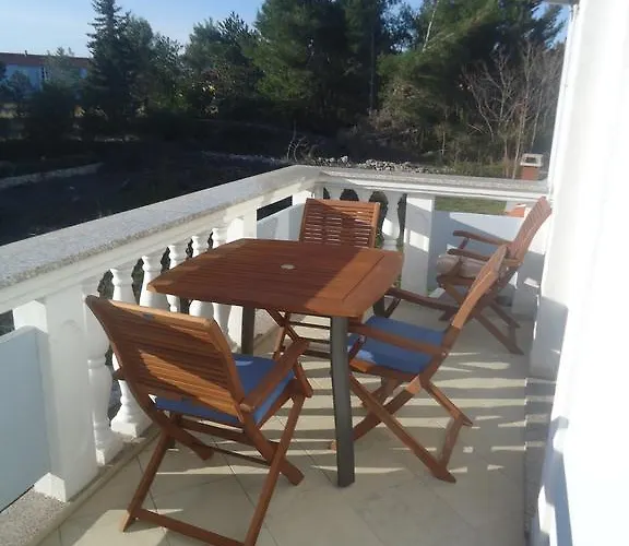 Maslina Privlaka (Zadar)