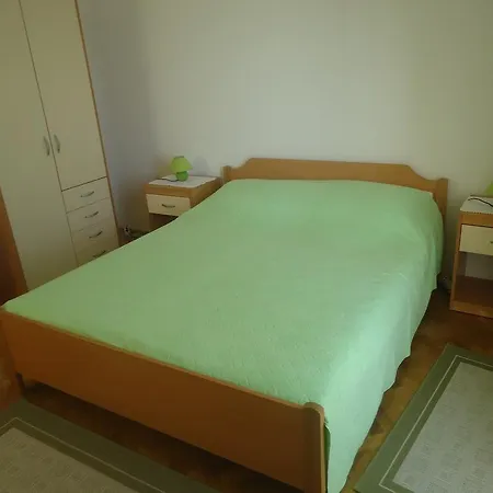 Maslina * Privlaka (Zadar)