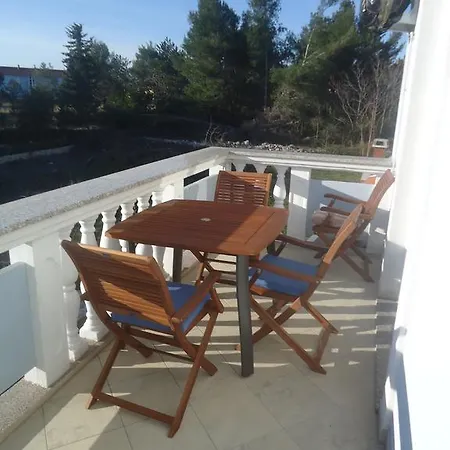 Maslina Privlaka (Zadar)